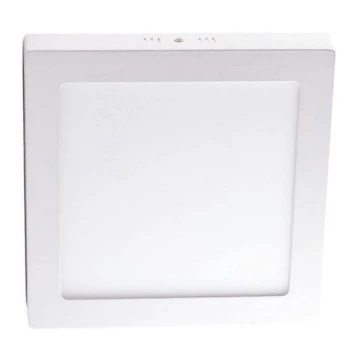 LED Stropní svítidlo LED/12W/230V 4000K 17,2x17,2 cm