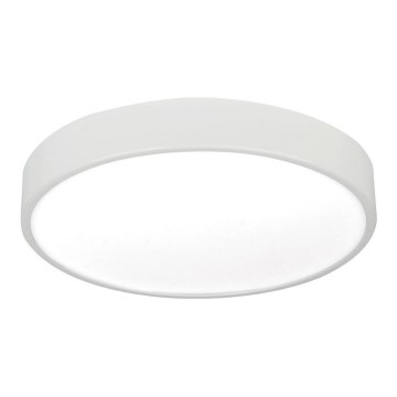 LED Stropní svítidlo LED/12W/230V