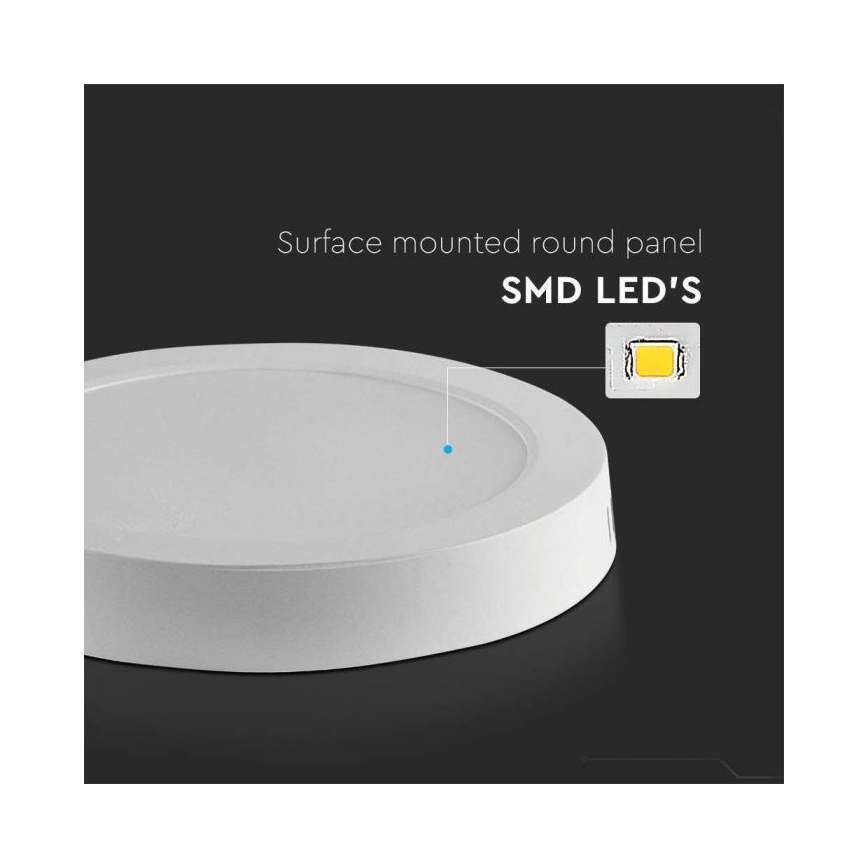 LED Stropní svítidlo LED/6W/230V 6500K bílá