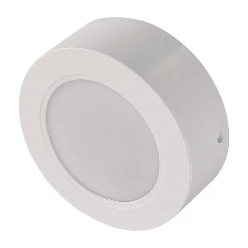 LED Stropní svítidlo LED/9W/230V pr. 12 cm bílá