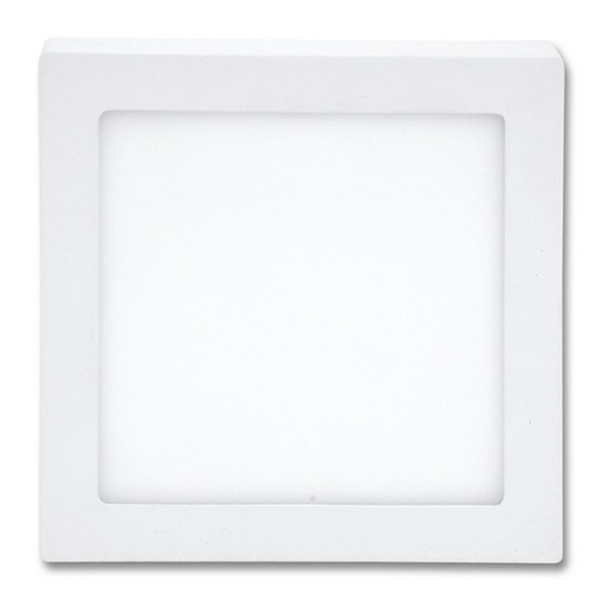 LED Stropní svítidlo RAFA LED/12W/230V 2700K