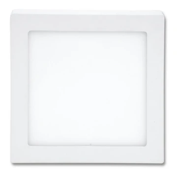 LED Stropní svítidlo RAFA LED/18W/230V 2700K