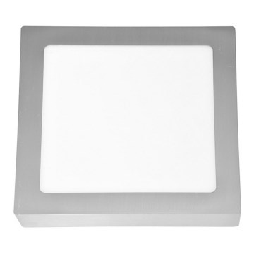 LED Stropní svítidlo RAFA LED/18W/230V 4100K