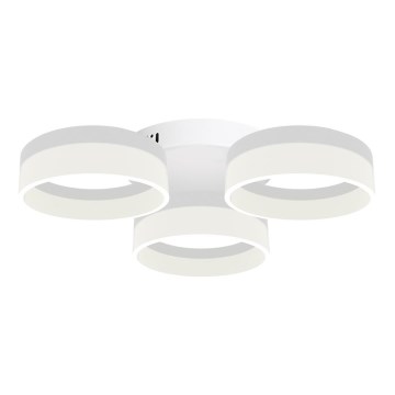 LED Stropní svítidlo RING 3xLED/12W/230V bílé