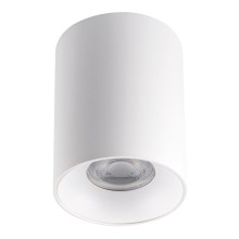 LED Stropní svítidlo RITI 1xGU10/25W/230V bílá