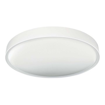 LED Stropní svítidlo SAMER LED/32W/230V 4000K