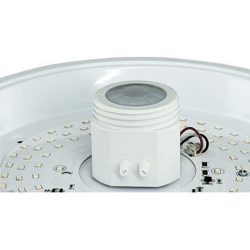 LED Stropní svítidlo se senzorem a nouzovým modulem MANA LED/16W/230V 4000K