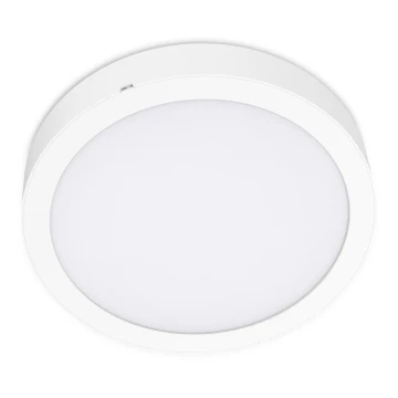 LED Stropní svítidlo SIGARO CIRCLE LED/24W/230V 4000K IP40