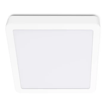 LED Stropní svítidlo SIGARO SQUARE LED/24W/230V 4000K IP40