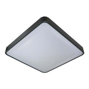 LED Stropní svítidlo WILTON LED/24W/230V antracit