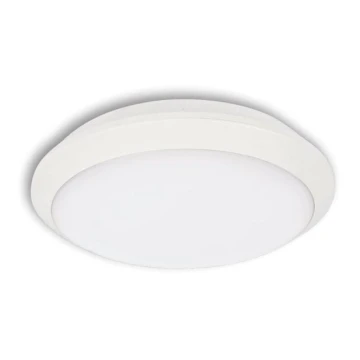 LED Venkovní stropní svítidlo TIPO LED/24W/230V IP66