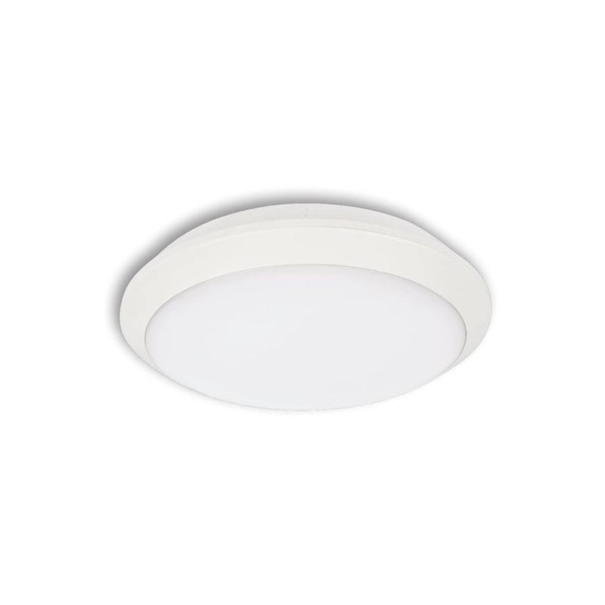 LED Venkovní stropní svítidlo TIPO LED/24W/230V IP66