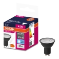 LED Žárovka VALUE PAR16 GU10/6,9W/230V 6500K 36° černá - Ledvance