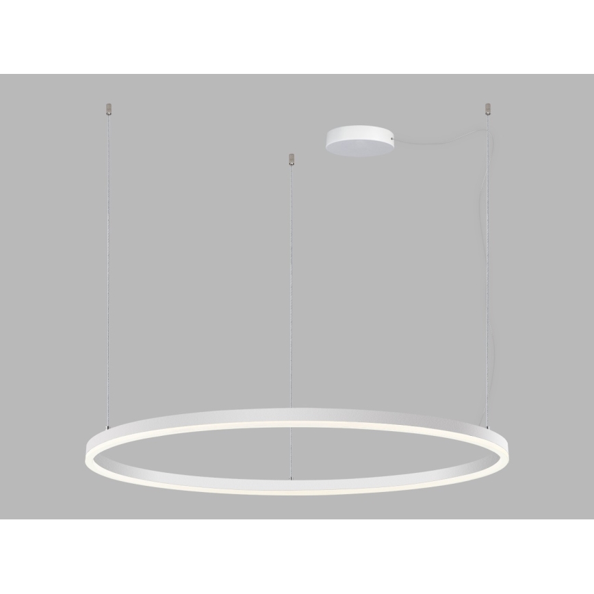 LED2 - LED Stmívatelný lustr na lanku CIRCLE LED/80W/230V 3000K/4000K pr. 100 cm bílá