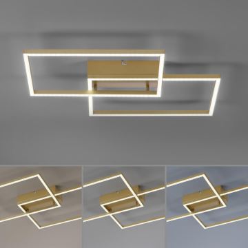 Leuchten Direkt 14018-60- LED Stmívatelný přisazený lustr IVEN 2xLED/15W/230V 2700-5000K zlatá + dálkové ovládání