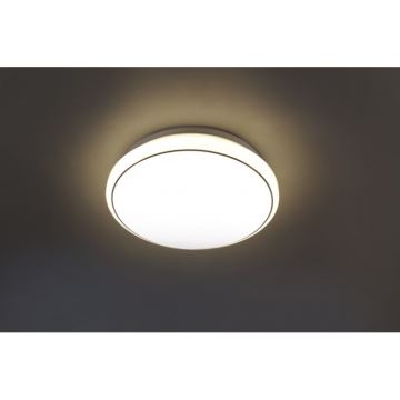 Leuchten Direkt 14362-16 - LED Stropní svítidlo JUPITER LED/17W/230V 3000/4000/5000K