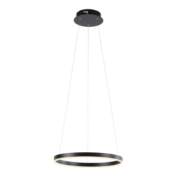 Leuchten Direkt 15393-13 - LED Stmívatelný lustr na lanku RITUS LED/20W/230V černá