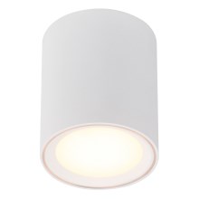 Nordlux - LED Bodové svítidlo FALLON LONG LED/5,5W/230V bílá