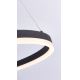 Paul Neuhaus 2382-13 - LED Stmívatelný lustr na lanku TITUS LED/38,5W/230V