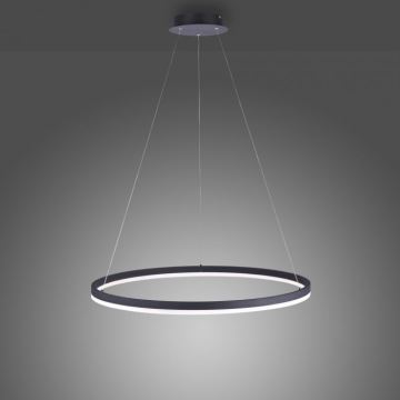 Paul Neuhaus 2383-13 - LED Stmívatelný lustr na lanku TITUS LED/50W/230V