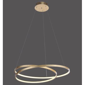 Paul Neuhaus 2474-12 - LED Stmívatelný lustr na lanku ROMAN LED/40W/230V zlatá