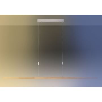 Paul Neuhaus 2568-78 - LED Stmívatelný lustr na lanku ADRIANA LED/14W/230V 2700-5000K