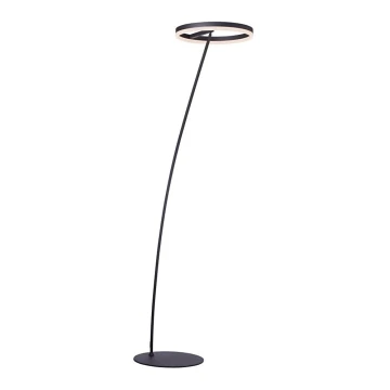 Paul Neuhaus 381-13 - LED Stmívatelná stojací lampa TITUS LED/19,5W/230V