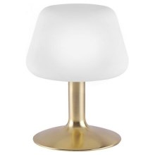 Paul Neuhaus 4078-60 - LED Stmívatelná dotyková stolní lampa TILL 1xG9/3W/230V mosaz