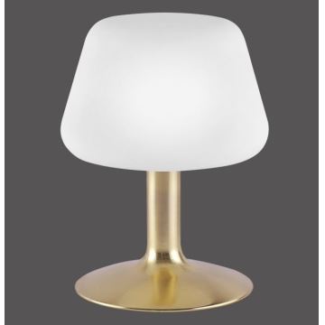 Paul Neuhaus 4078-60 - LED Stmívatelná dotyková stolní lampa TILL 1xG9/3W/230V mosaz