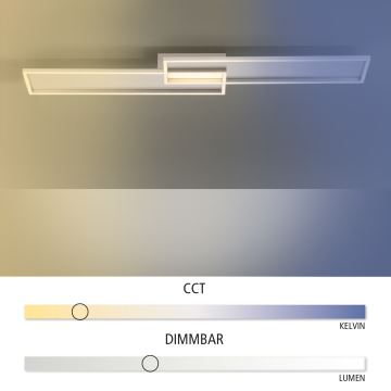 Paul Neuhaus 8371-55 - LED Stmívatelné stropní svítidlo AMARA LED/40W/230V + dálkové ovládání