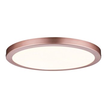 Paulmann 70872 - LED/22W Stmívatelný panel ATRIA 230V 2700K pr. 30 cm rose gold