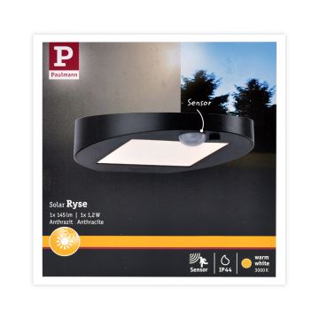 Paulmann 94246 - LED/1,2W IP44 Venkovní solární svítidlo se senzorem RYSE 3,7V