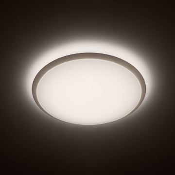 Philips - LED stropní svítidlo 1xLED/17W/230V