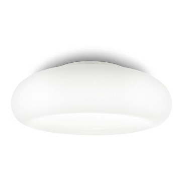 Philips 32066/31/16 - Koupelnové stropní svítidlo MYBATHROOM MIST 1xE27/20W/230V IP44