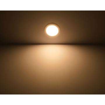 Philips - LED podhledové svítidlo 1xLED/14W/230V