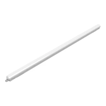 Philips - LED Technické svítidlo PROJECTLINE LED/53W/230V 148,5 cm IP65