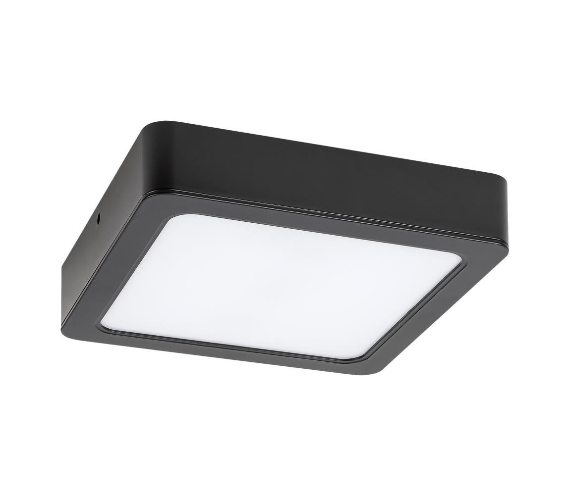 Rabalux Rabalux 2689 - LED Stropní svítidlo SHAUN LED/12W/230V 14,5 cm 