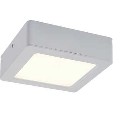 Rabalux - LED Stropní svítidlo LED/12W/230V 14,5 cm