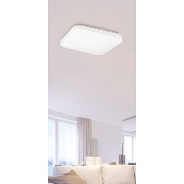 Rabalux - LED Stropní svítidlo 1xLED/20W/230V
