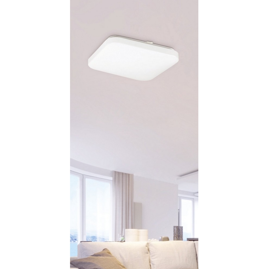 Rabalux - LED Stropní svítidlo 1xLED/20W/230V