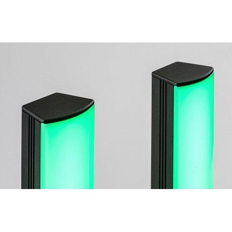 Rabalux - SADA 2x LED RGB Stmívatelná stolní lampa PACO LED/5W/5V + dálkové ovládání