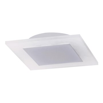 Rabalux - LED stropní svítidlo HARPER LED/10W/230V