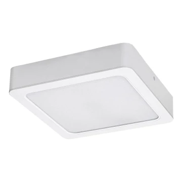 Rabalux - LED Stropní svítidlo LED/15W/230V 3000K 16x16 cm bílá