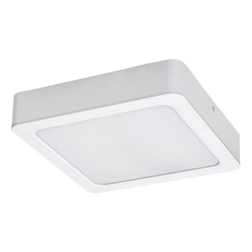 Rabalux - LED Stropní svítidlo LED/24W/230V 4000K 22x22 cm bílá