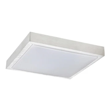 Rabalux - LED Stropní svítidlo LED/24W/230V