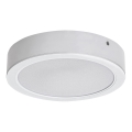 Rabalux - LED Stropní svítidlo LED/7W/230V 4000K pr. 12 cm bílá