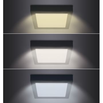 LED Stropní svítidlo LED/18W/230V 3000/4000/6000K černá hranatý