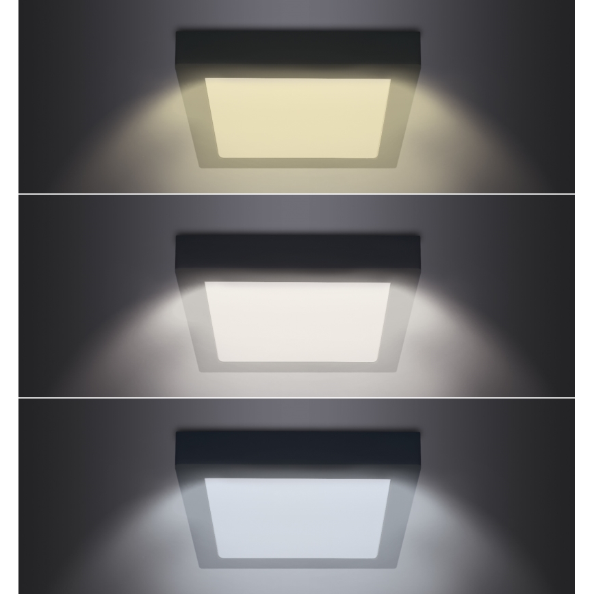 LED Stropní svítidlo LED/24W/230V 3000/4000/6000K černá hranatý