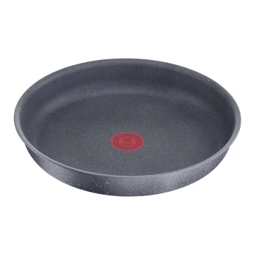 Tefal - Pánev INGENIO NATURAL FORCE 24 cm