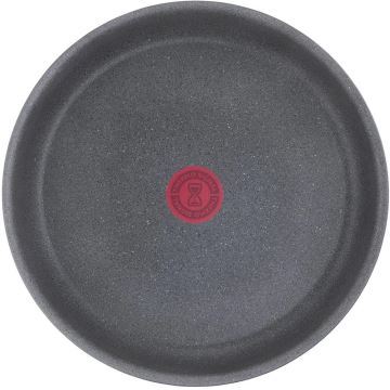 Tefal - Pánev INGENIO NATURAL FORCE 24 cm